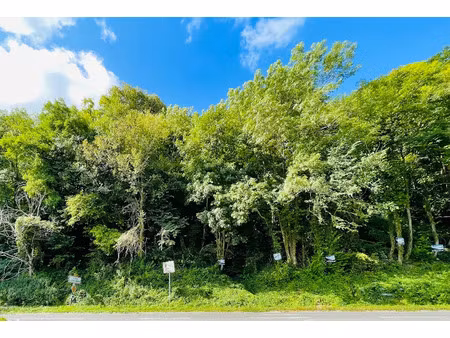 vente terrain 1177 m² à saint-jean-les-deux-jumeaux (77660)  4 500 €