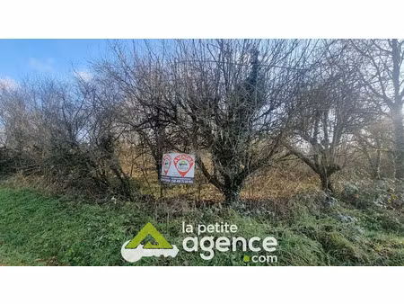 vente terrain 5700 m² à vignoux-sur-barangeon (18500)  25 000 €