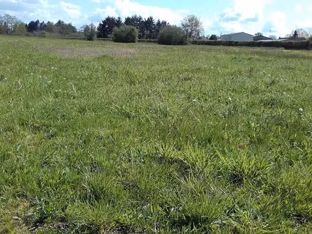 vente terrain 1095 m² à toulon-sur-arroux (71320)  13 765 €