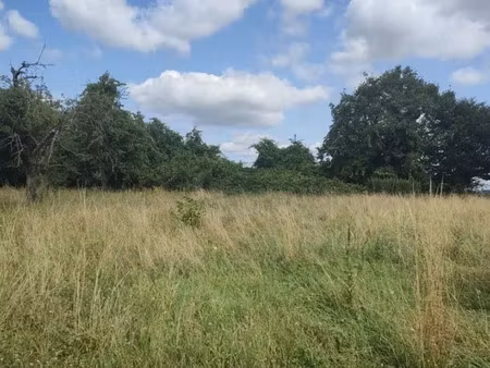 vente terrain 1702 m² à vallentigny (10500)  21 000 €