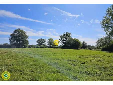 vente terrain 3000 m² à venas (03190)  8 000 €