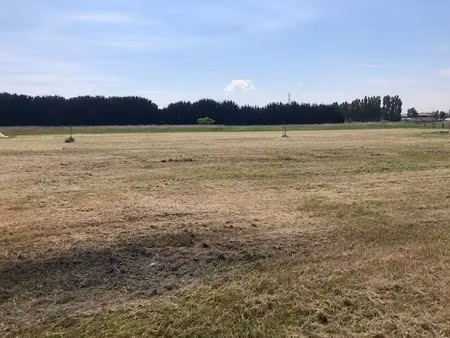 vente terrain 1025 m² à allonnes (49650)  43 000 €