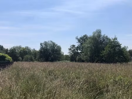 vente terrain 1313 m² à allonnes (49650)  35 000 €