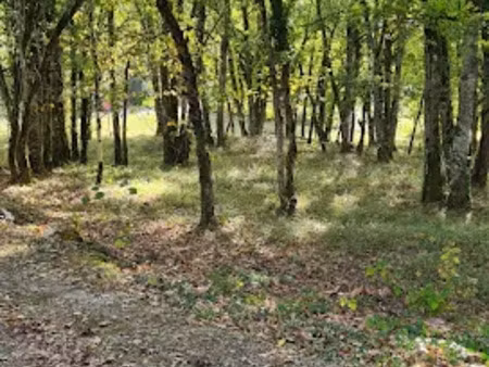 vente terrain 1346 m² à chartrier-ferrière (19600)  37 000 €