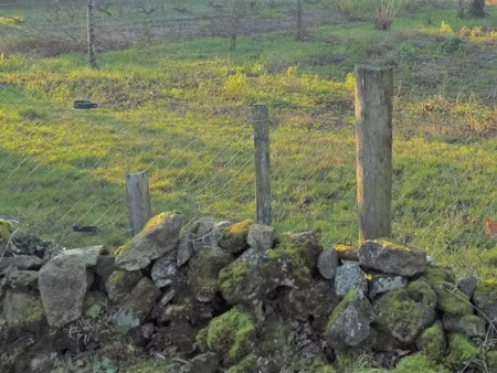 vente terrain 800 m² à fressines (79370)  39 000 €