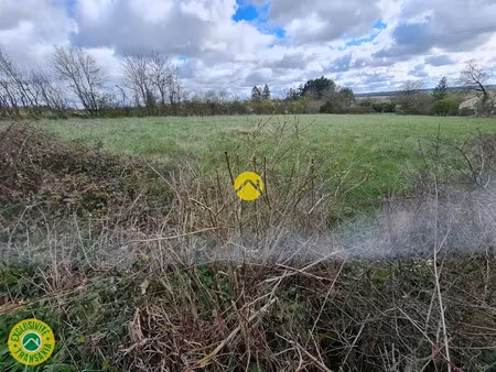 vente terrain 3579 m² à nérondes (18350)  47 500 €