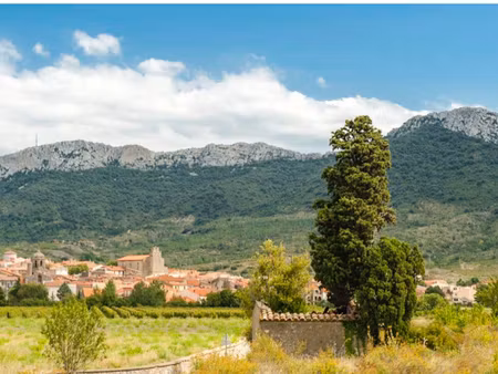 vente terrain à batir 245 m² à saint-paul-de-fenouillet (66220)  39 000 €