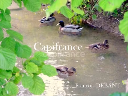 vente terrain 8000 m² à bétheniville (51490)  34 000 €