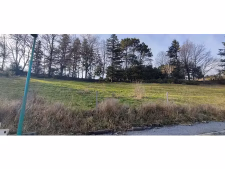 vente terrain à batir 1050 m² à pont-de-larn (81660)  61 000 €