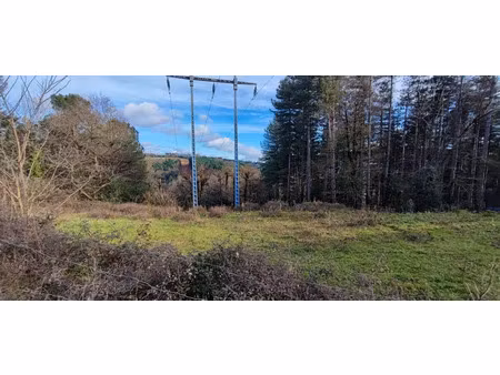 vente terrain à batir 1115 m² à pont-de-larn (81660)  66 000 €