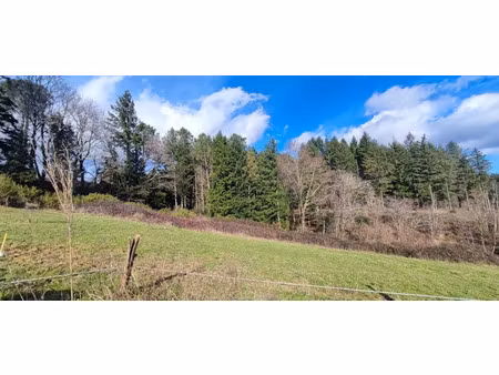 vente terrain à batir 876 m² à pont-de-larn (81660)  55 000 €