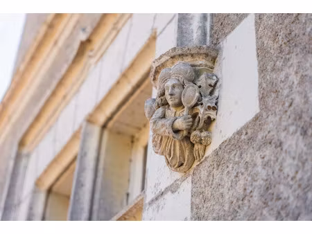 vente château 5000 m² à poitiers (86000)  3 879 000 €