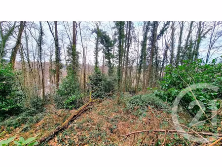 vente terrain à batir 3200 m² à sarlat-la-caneda (24200)  49 000 €