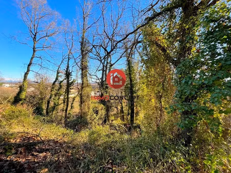 vente terrain à batir 381 m² à laudun-l'ardoise (30290)  64 000 €