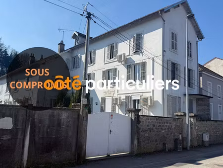 vente immeuble 0 pièces 440 m² à thaon-les-vosges (88150)  397 000 €