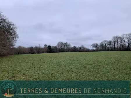 vente terrain 91000 m² à sourdeval (50150)  55 000 €