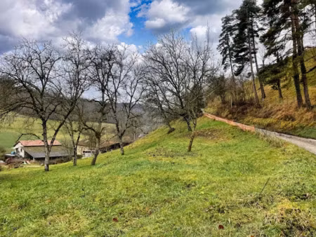 vente terrain à batir 1136 m² à la forteresse (38590)  71 000 €