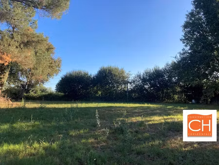 vente terrain 1000 m² à saint-denis-de-pile (33910)  60 000 €