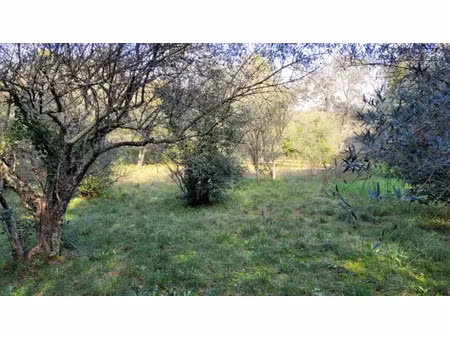 vente terrain 960 m² à mons (30340)  79 000 €