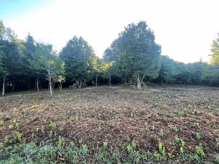 vente terrain 826 m² à salles (33770)  135 000 €