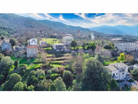 vente terrain 1984 m² à rapale (20246)  149 000 €