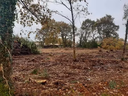 vente terrain 780 m² à carcans (33121)  165 000 €