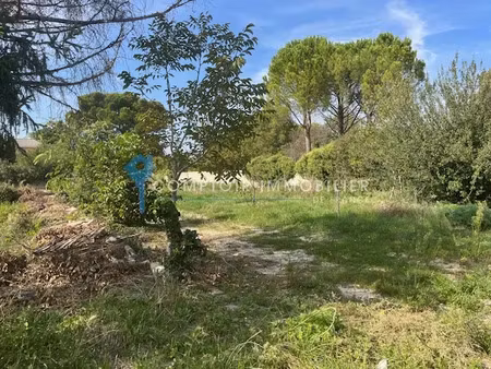 vente terrain 658 m² à carpentras (84200)  163 000 €