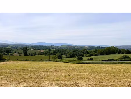 vente terrain à batir 9660 m² à saint-palais (64120)  214 000 €