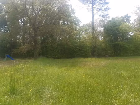 vente terrain 540 m² à martignas-sur-jalle (33127)  219 000 €