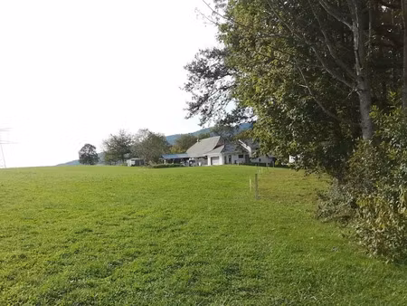 vente terrain 1061 m² à menthonnex-en-bornes (74350)  199 000 €