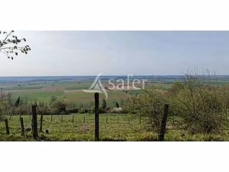 maison avec jardin saint-martin-du-mont (01)