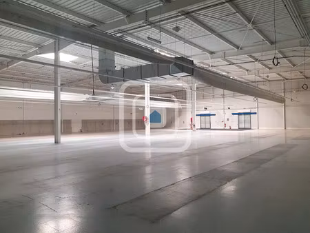 location locaux professionnels 1800 m² à chalons-en-champagne (51000)  12 500 €