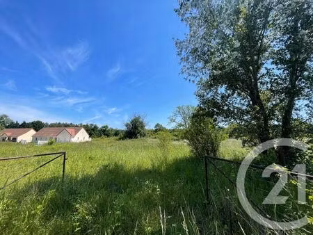 terrain à vendre - 7492 m2 - mur de sologne - 41 - centre