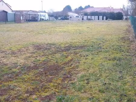 terrain constructible 1117 m²