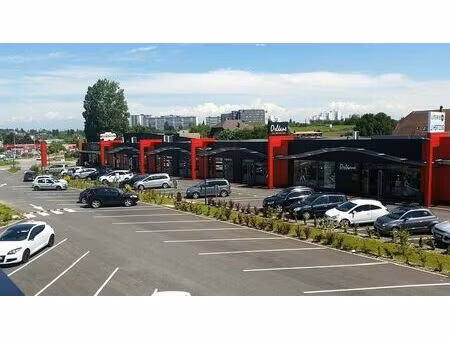 vente commerce morschwiller le bas 260 m²