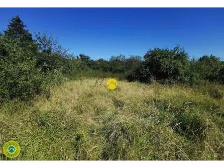 vente maison 1 pièce grossouvre (18600)