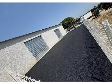 vente commerce 87 m² pollestres (66450)