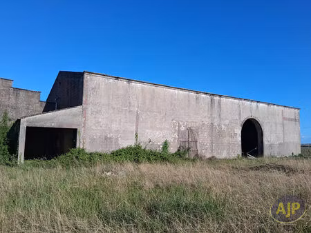propriété viticole à saint-seurin-de-cadourne  médoc.
