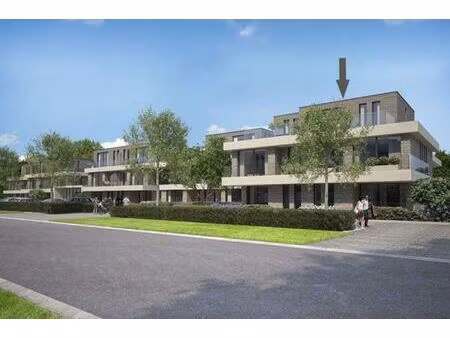 service flat te huur in berlare