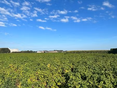 grond te koop in poperinge