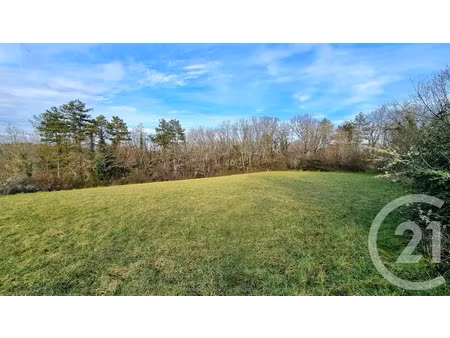 vente terrain à batir 4546 m² à daglan (24250)  45 000 €