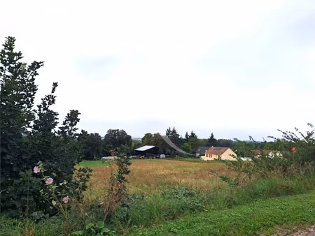 vente terrain 919 m² à vinneuf (89140)  45 000 €
