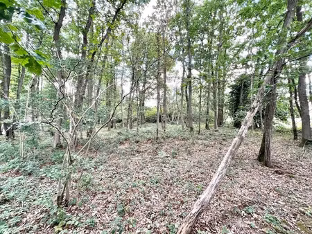 vente terrain à batir 2309 m² à ferrières-haut-clocher (27190)  55 000 €