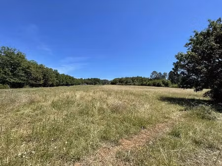 vente terrain 11000 m² à paunat (24510)  162 000 €