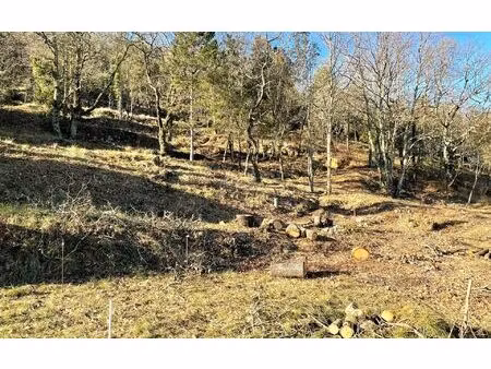 terrain salavas m² t- à vendre  80 000 €