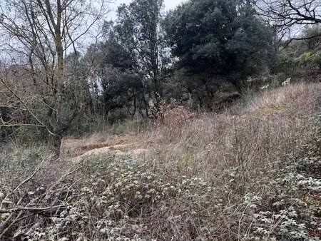 le bosc en exclusivité