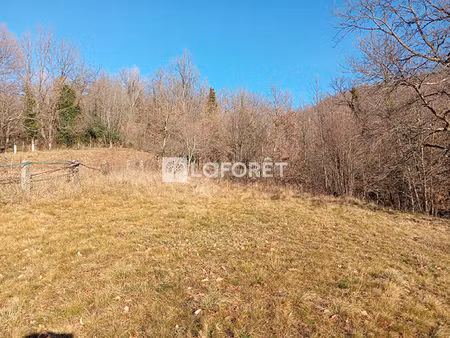 terrain prats-de-mollo-la-preste à vendre