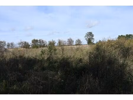 vente commerce 8360 m² sainte-catherine-de-fierbois (37800)