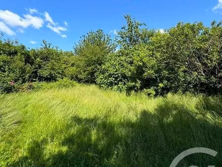 vente terrain à louvigné-de-bais (35680) : à vendre / 650m² louvigné-de-bais