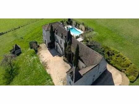 propriété avec piscine peripherie - tournus (71)